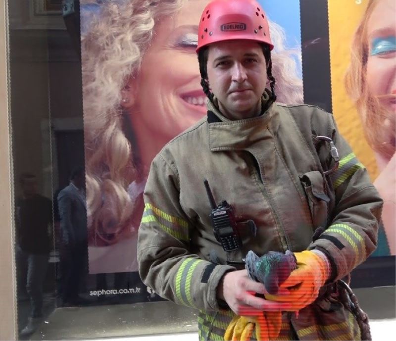 İstiklal Caddesi’nde fileye takılan kuşu itfaiye kurtardı
