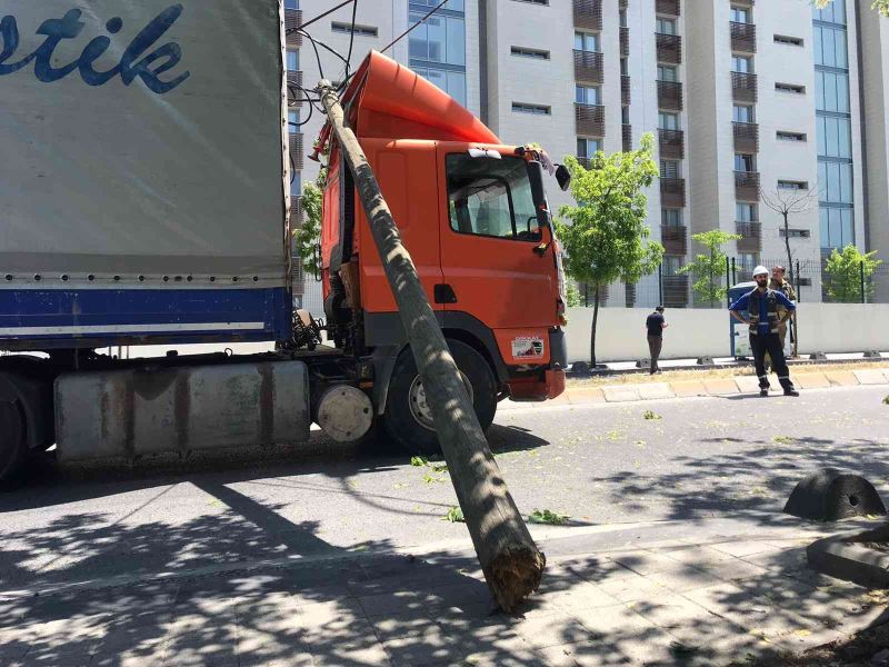 Ümraniye’de tır, elektrik direklerini ve bir ağacı devirdi
