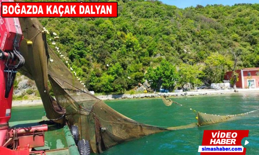 İstanbul Boğazı’nda balık avlamak için kaçak dalyan kurdular