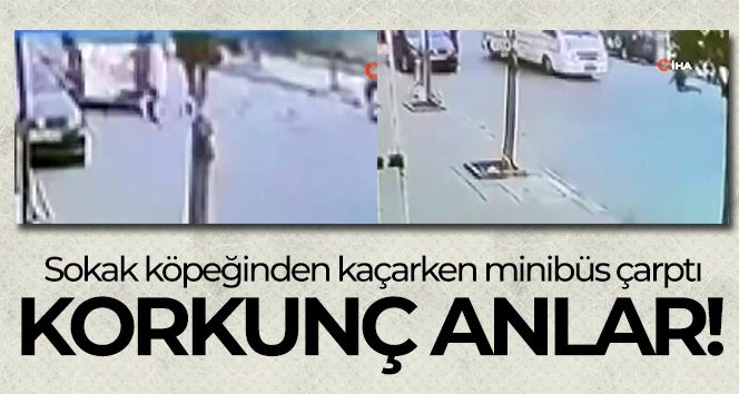 Sokak köpeğinden kaçarken minibüs çarptı: O anlar kamerada