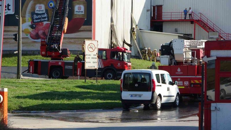 Tuzla’da fabrikanın soğuk hava deposunda yangın