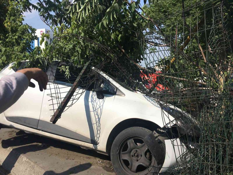Bayrampaşa’da otomobil refüjdeki ağaca çarptı

