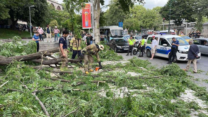 Beyoğlu’nda gövdesinden kırılan ağaç yola devrildi: 2’si turist 3 kişi yaralandı