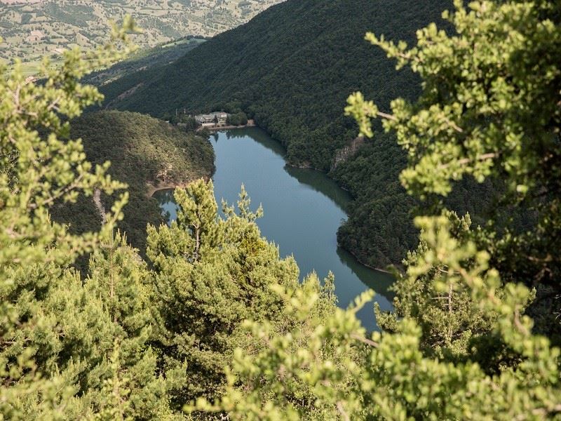 Amasya’da ormanlara giriş çıkışlar ve ateşli piknik yasaklandı
