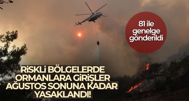 Orman yangını için riskli bölgelere girişler 31 Ağustos