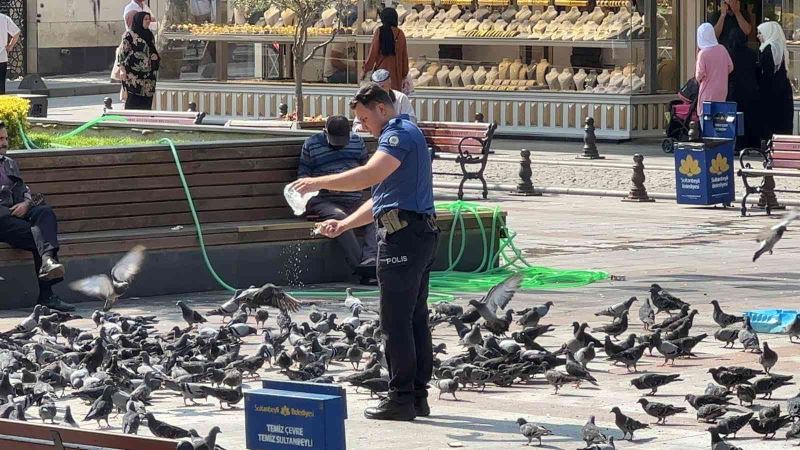 Sultanbeyli’de yürekleri ısıtan görüntü: Polis memuru, güvercinleri her gün ekmek kırıntıları ile besliyor
