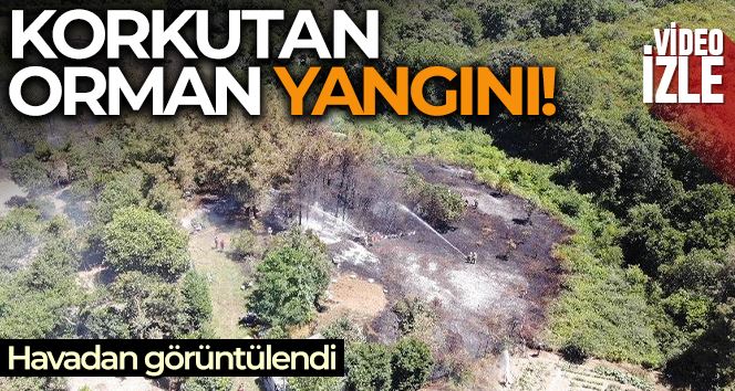 Beykoz’da korkutan orman yangını: Alevler evlerin bahçesine sıçradı