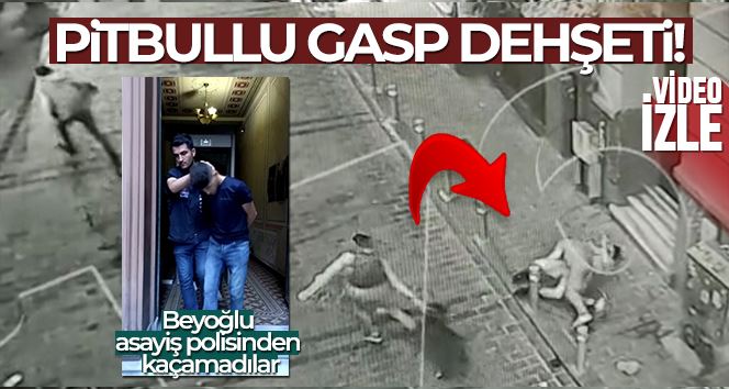 İstanbul’da pitbullu gasp dehşeti kamerada: Beyoğlu Asayiş polisi dedektif gibi iz sürdü