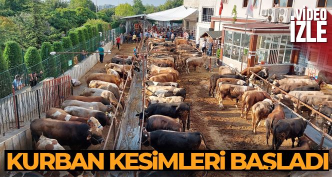İstanbul’da kurban kesimleri başladı