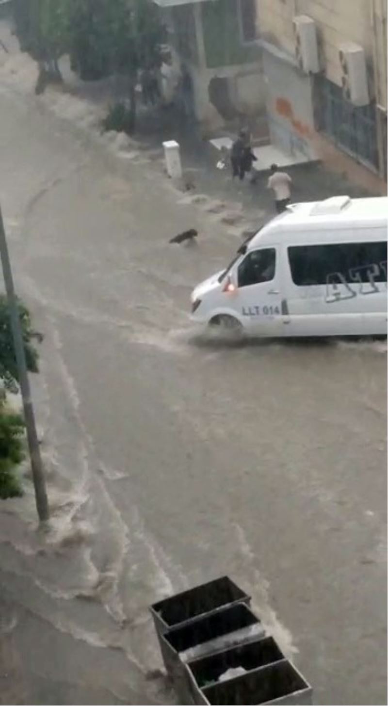 Sele kapılan köpek böyle kurtarıldı
