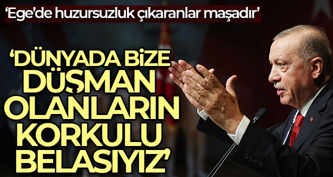 Erdoğan: “Ege’de her fırsatta tacizleri ve terbiyesizlikleriyle huzursuzluk çıkartanların sadece maşa olduğunu biliyoruz”
