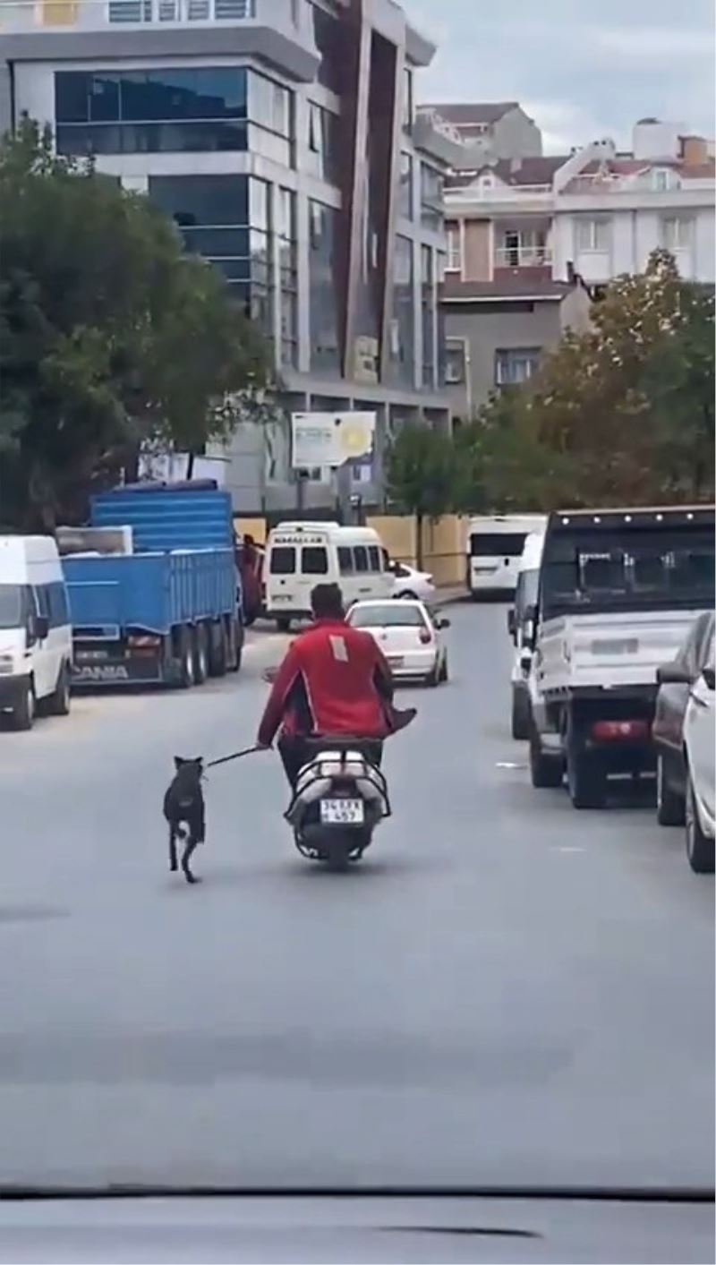 Köpeği motosikletle dakikalarca koşturdu