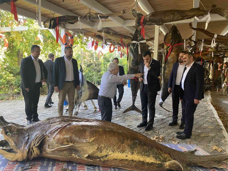 Türkiye Deniz Canlıları Müzesi’ne anlamlı ziyaret
