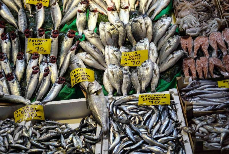 İstanbul’da tezgahlarda balık çeşitliliği yaşanıyor
