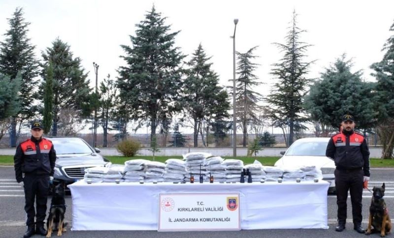 Kırklareli’nde bir yılda 2 milyon 878 bin 335 kök kenevir ele geçirildi
