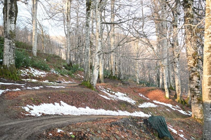 Kartepe’ye yeni mesire alanı
