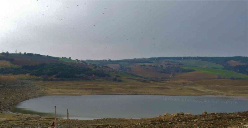 Çokal Barajı, Gökbüet Su Kooperatifine kiralandı
