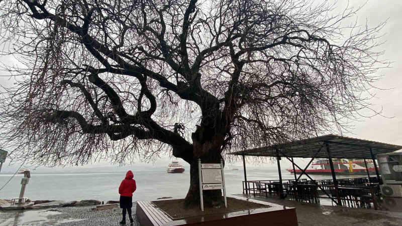 İzmit Körfezi’nin dibinde, 4 buçuk asırdır ayakta duruyor