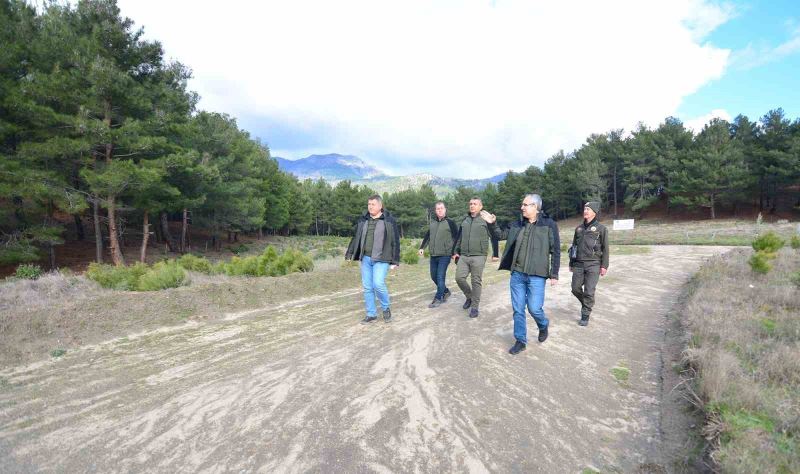 Kazdağları lavanta kokacak