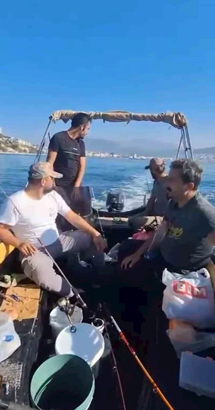 Marmara’nın güney kıyılarını denizanası istila etti