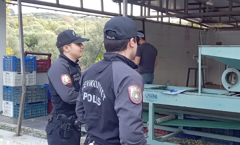 Zeytin bahçelerinde polis göz açtırmıyor
