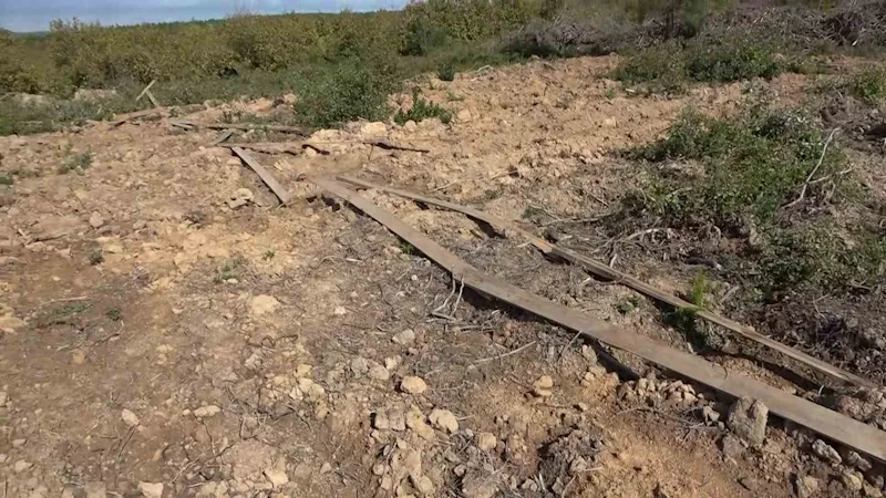 Pendik’te ormanda usulsüz satılan araziler havadan görüntülendi