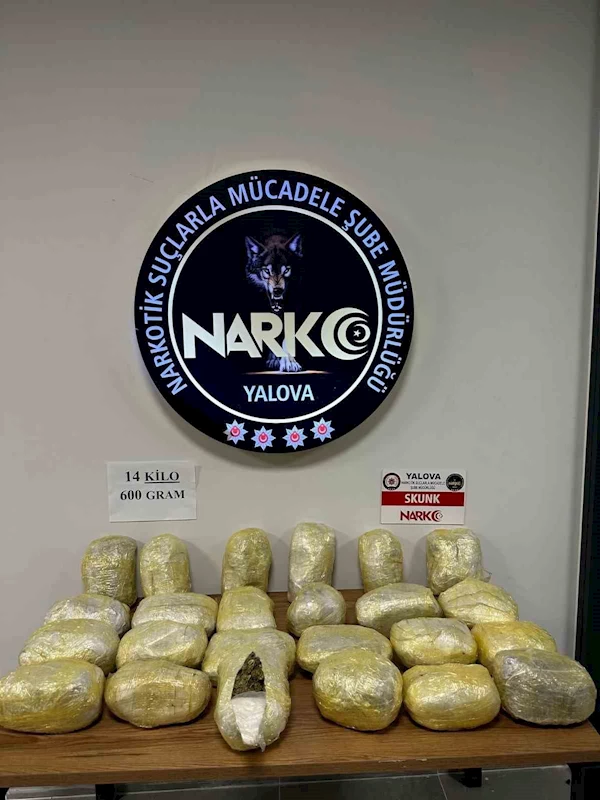 Yalova’da 14 kilo 600 gram skunk ele geçirildi
