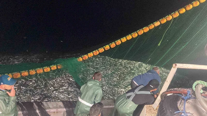 Çanakkale Boğazı’nda 30 ton sardalya yakaladı
