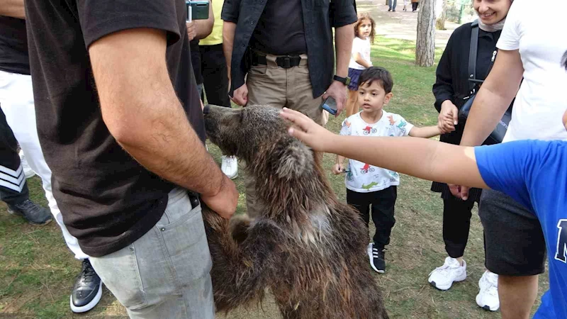 Çekmeköy’de yavru ayı Liva banyo yaptı, vatandaşlar ilgiyle izledi
