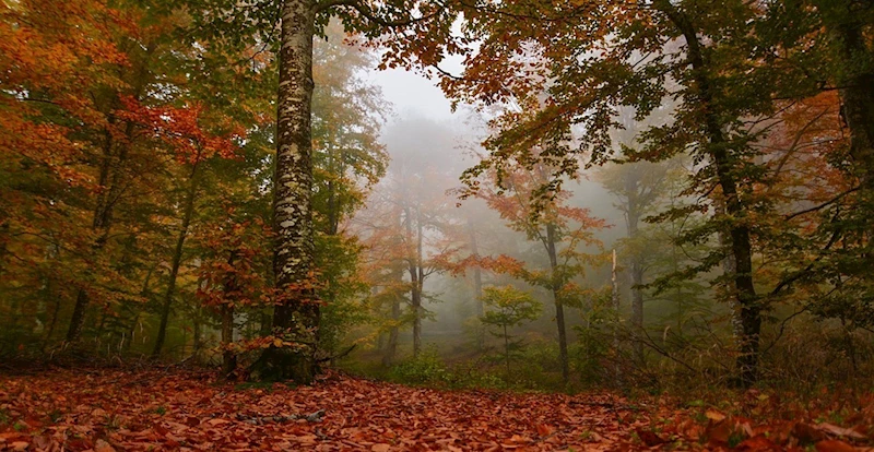 Balıkesir’de temiz hava cari fazlalık verdi
