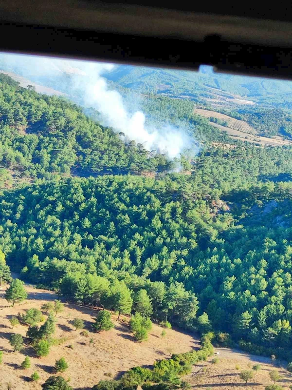 Ayvacık’taki orman yangını kontrol altına alındı
