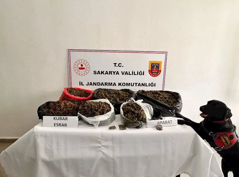 Sakarya’da 21 kilo esrar ele geçirildi: 1 tutuklama
