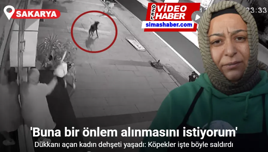 Dükkanı açan kadın dehşeti yaşadı: Köpekler işte böyle saldırdı