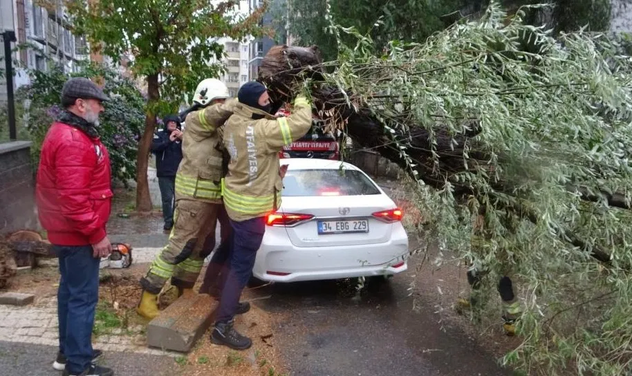 Kartal’da otomobillerin üzerine ağaç devrildi