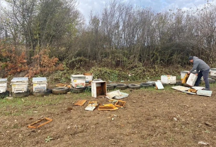 Bilecik’te ayılar arı kovanlarına zarar verdi