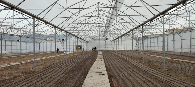 Modern sera tesisiyle çiftçilere destek
