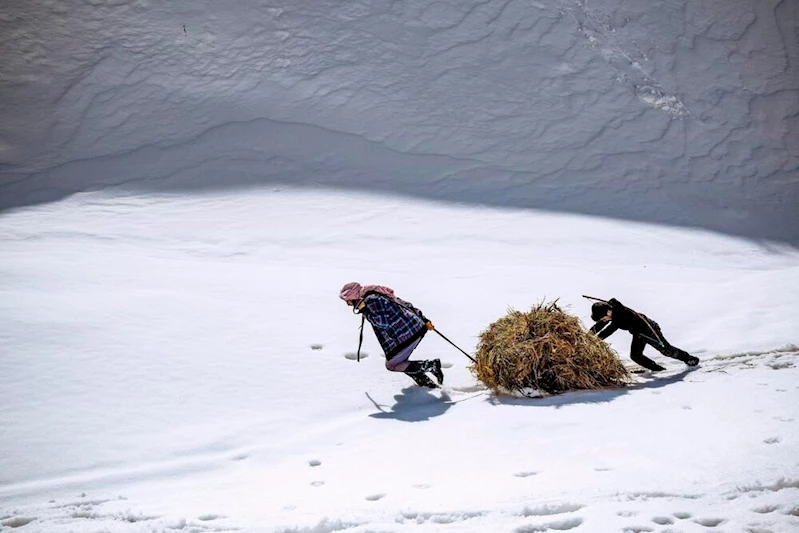 Yardımlaşmanın fotoğrafı
