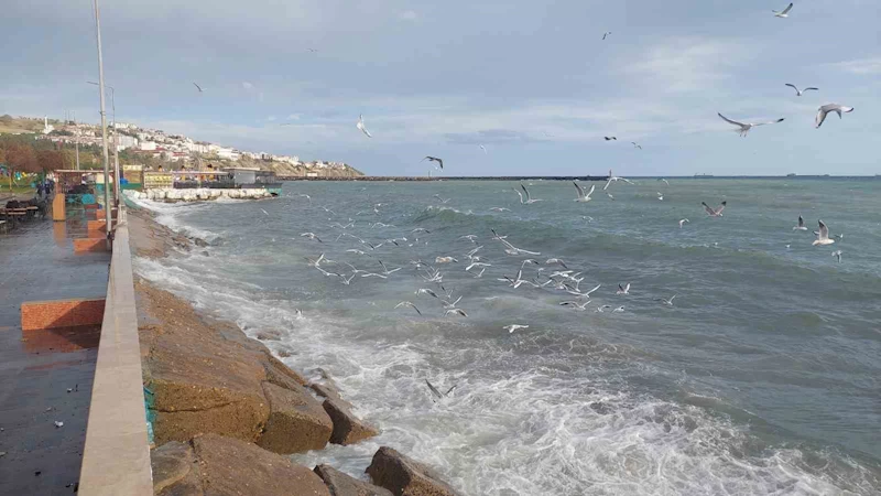 Tekirdağ’da şiddetli lodos: Deniz çalkalanıyor
