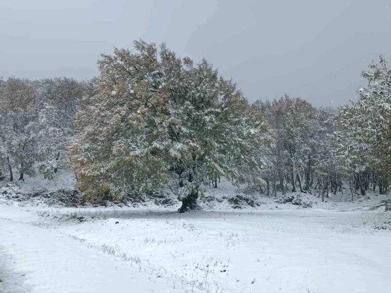 Lapseki’de Dumanlı Dağı’na mevsimin ilk karı yağdı
