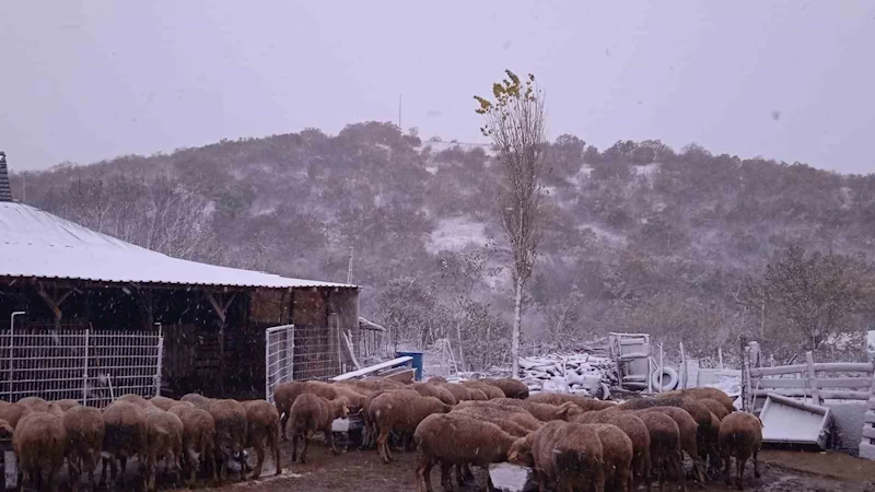 Kar, Balkanlar’dan Edirne’ye giriş yaptı: Sınır köyleri beyaza büründü
