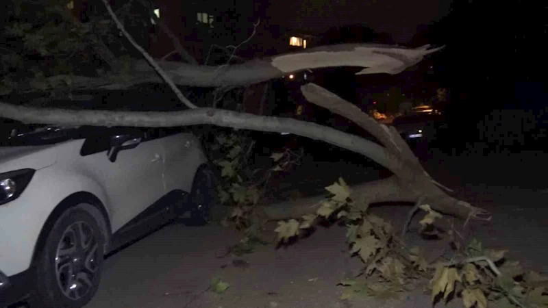 Ağaç ve elektrik direği araçların üzerine devrildi, 2 araç hasar aldı
