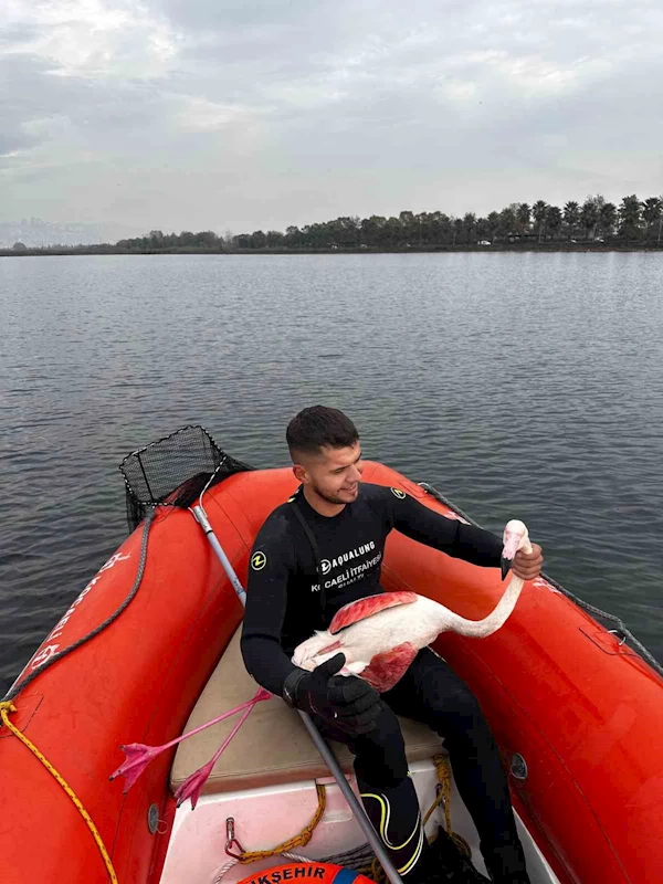 İzmit Körfezi’nde mahsur kalan yaralı flamingoyu Kocaeli İtfaiyesi kurtardı
