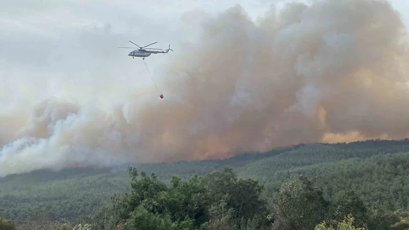 Çanakkale’de orman yangını...Bir köy boşaltıldı