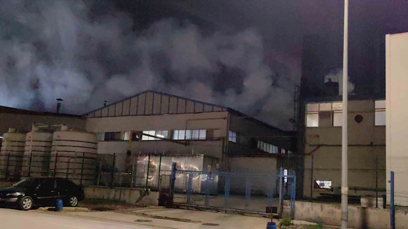 Bursa’da tekstil fabrikasında yangın
