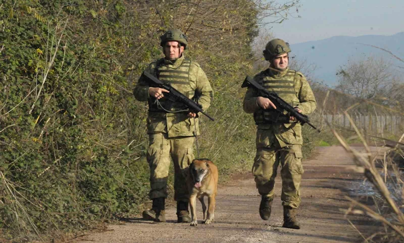 TSK’nın devriye köpekleri birliklerin emniyetine destek sağlıyor
