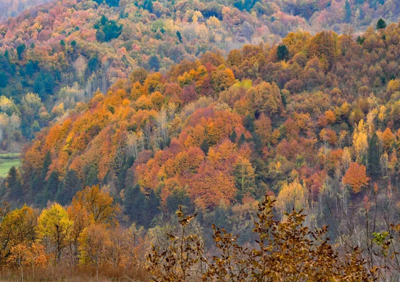 Güz güzeli İnegöl
