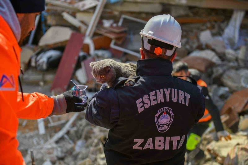 Hatay’da enkaz altında kalan kedi 121 saat sonra kurtarıldı
