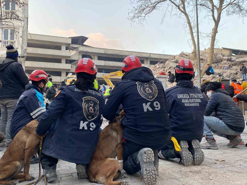 Ankara’nın kahraman patileri 28 kişinin hayatını kurtardı
