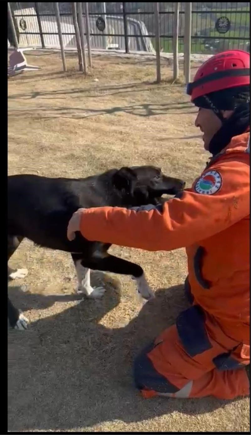 Kepez Belediyesi enkazdan kurtardığı köpeği sahiplendi