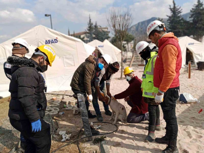 Sinop’tan afet bölgesine mama yardımı